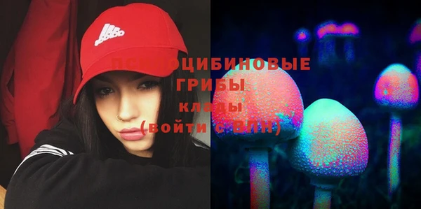 гидропоника Киреевск